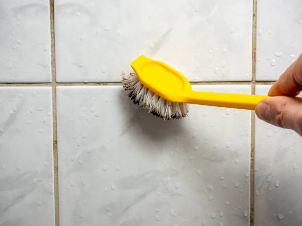 Best Mold Removal Process  in Oak Hills, CA