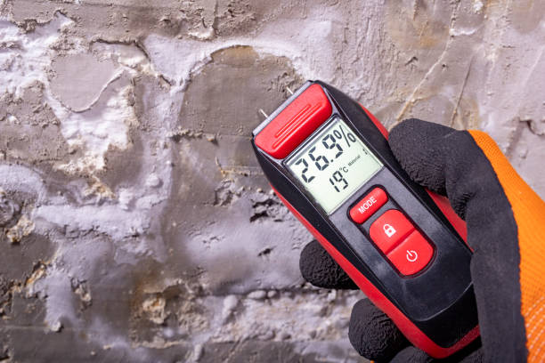 Best Water Damage Restoration  in Oak Hills, CA