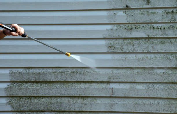 Best Mold Damage Repair  in Oak Hills, CA