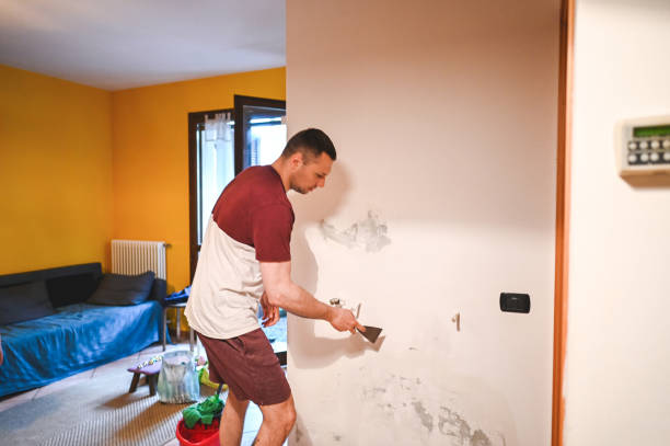 Best Residential Mold Removal  in Oak Hills, CA
