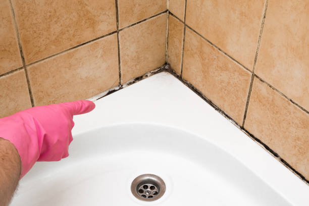 Best Emergency Mold Removal  in Oak Hills, CA